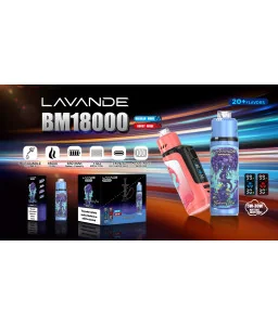 Blueberry Mint - Puff BM18000 Lavande